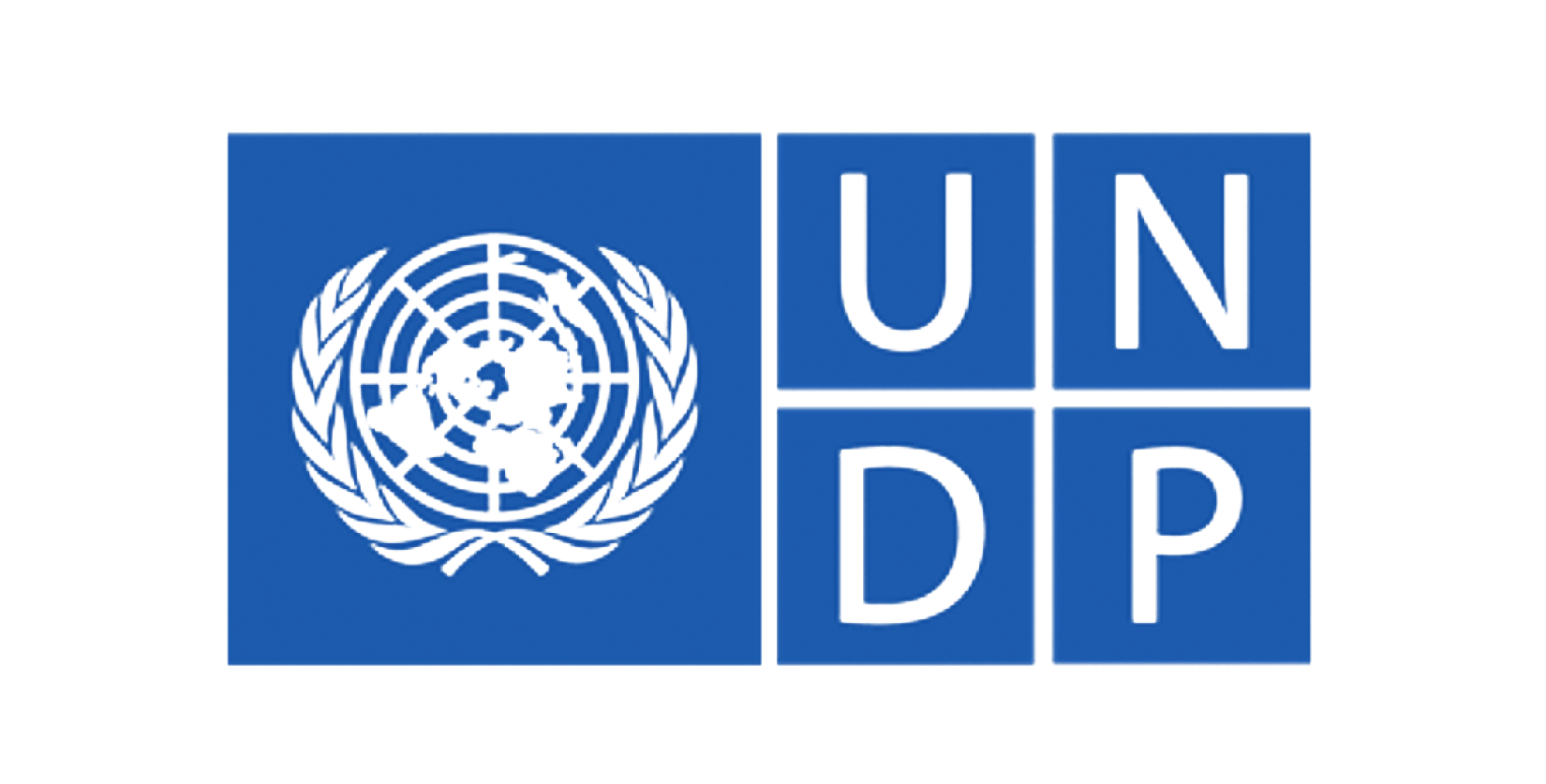 UNDP Logo_6